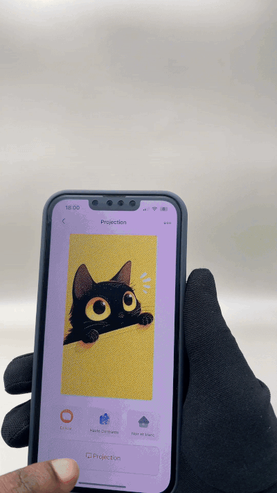 Coque iPhone personnalisable